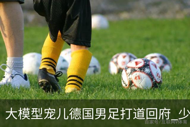 大模型宠儿德国男足打道回府 少了人性观察数据等于废纸