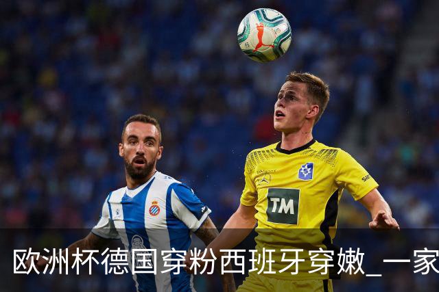 欧洲杯德国穿粉西班牙穿嫩 一家还盖了检验章